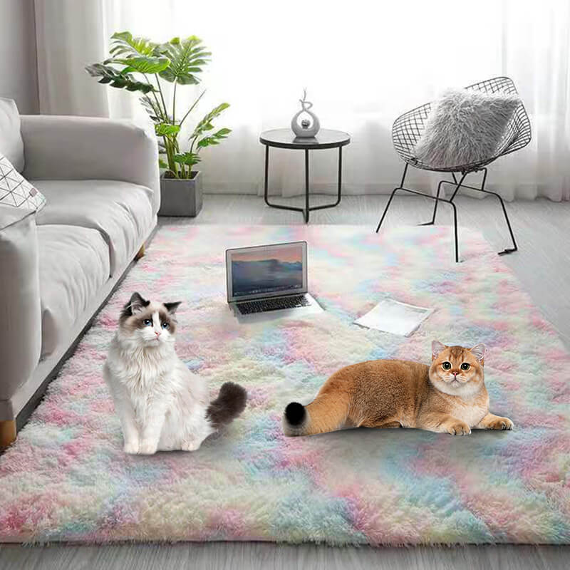 Gradient Plush Floor Mat – Luxurious Softness for Every Space 1