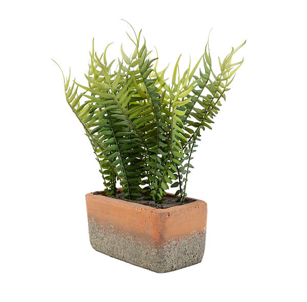 Lifelike Artificial Fern In Cement Pot – Adds Natural Indoor Ambiance 1