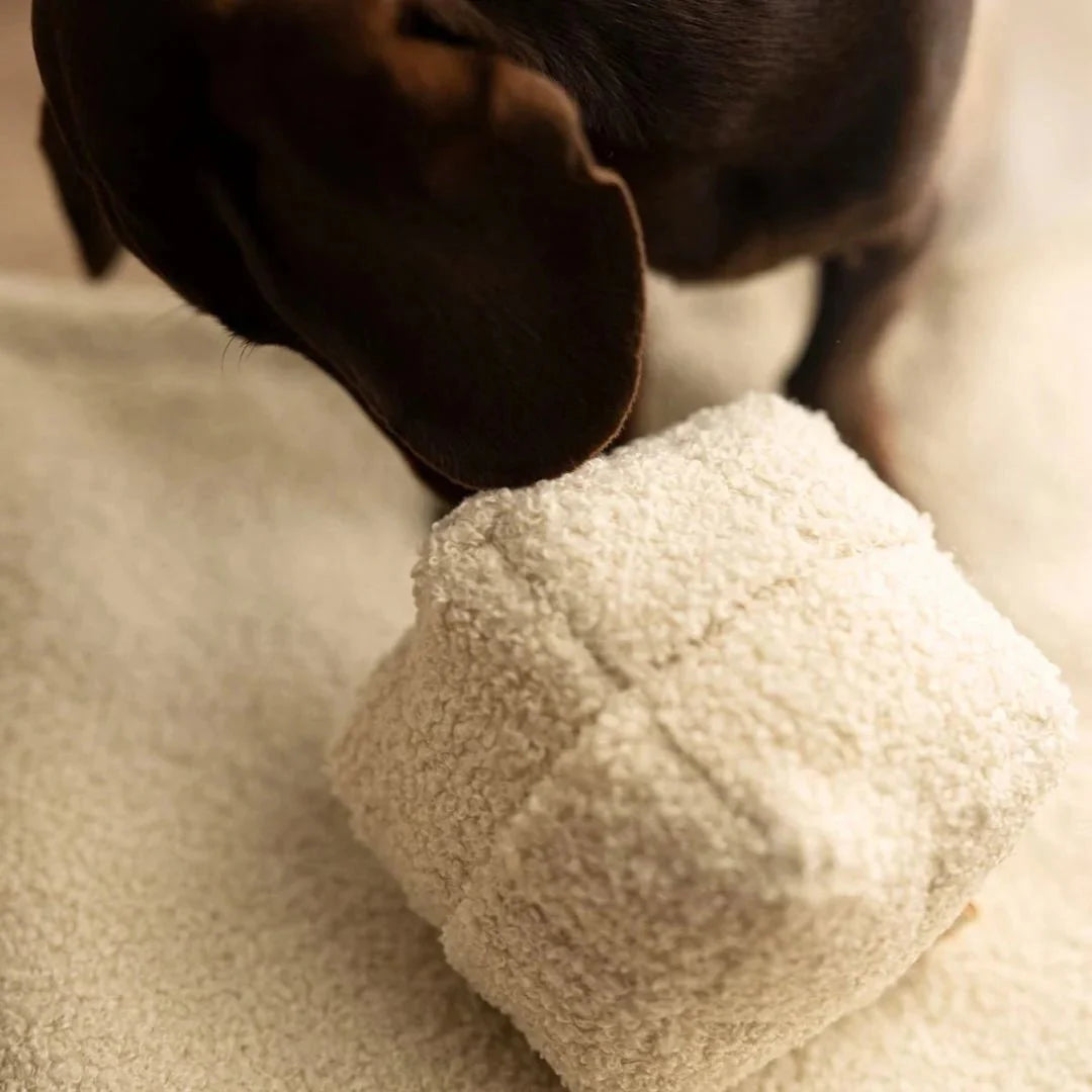 Sniffer's Cube Interactive Dog Toy – Stimulating Nose Work for Engaged Pets 2