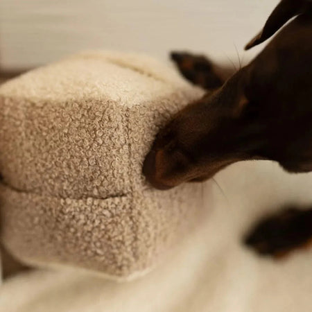 Sniffer's Cube Interactive Dog Toy – Stimulating Nose Work for Engaged Pets 3