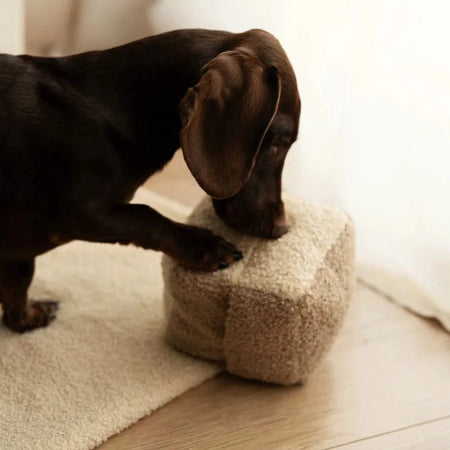 Sniffer's Cube Interactive Dog Toy – Stimulating Nose Work for Engaged Pets 4