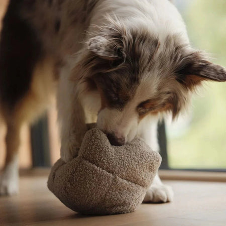 Sniffer's Cube Interactive Dog Toy – Stimulating Nose Work for Engaged Pets 6