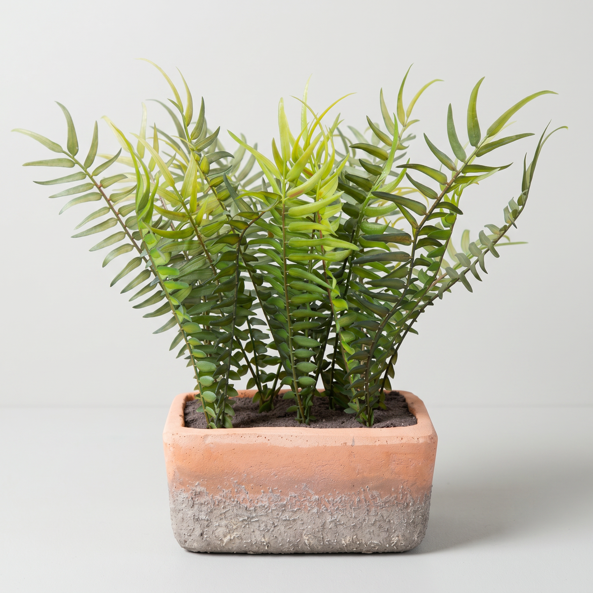 Artificial fern - faux plant in cement pot for desk and shelf